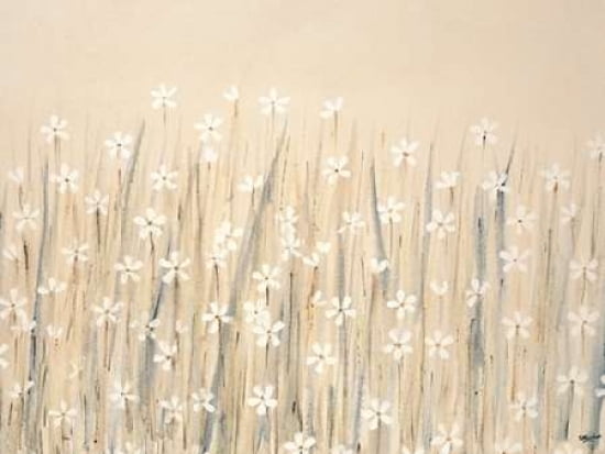 Field Of Starry White Flowers Canvas Art - Simon Fairless (18 x 24)