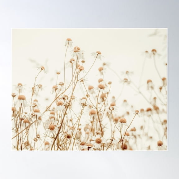 Field Of Wild Daisies Poster Wall Art, Modern Wall Decor For Living Room Bedroom, 8x12 UNFRAMED