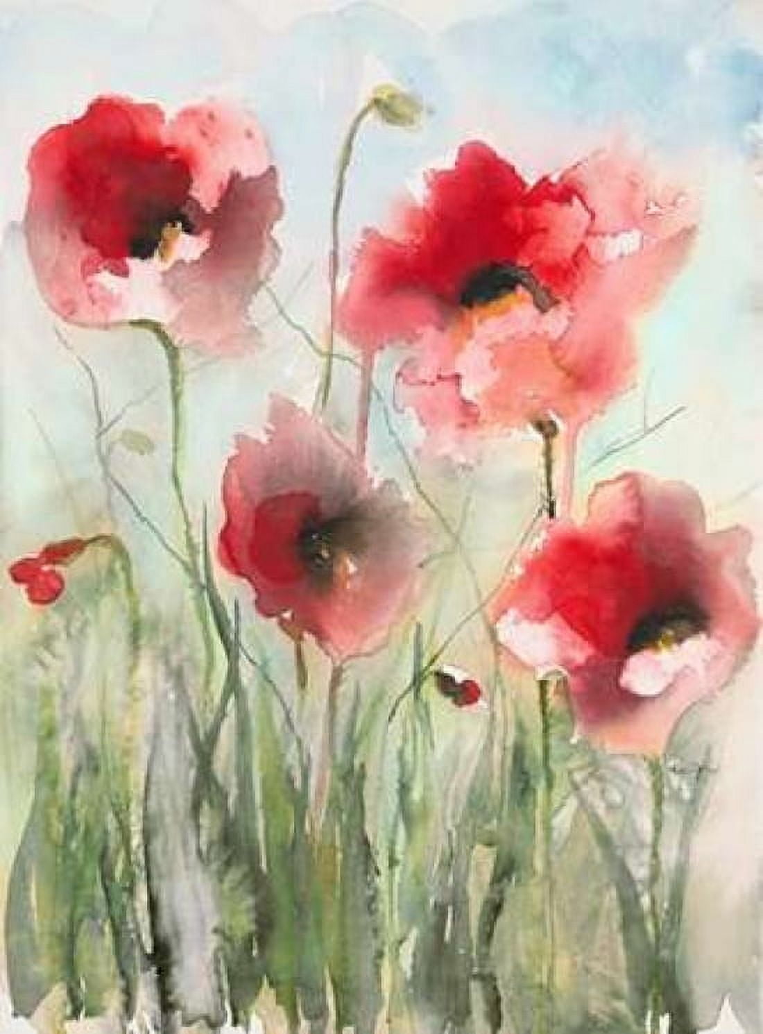 Field Poppies 2 Canvas Art - Karin Johannesson (18 x 24)