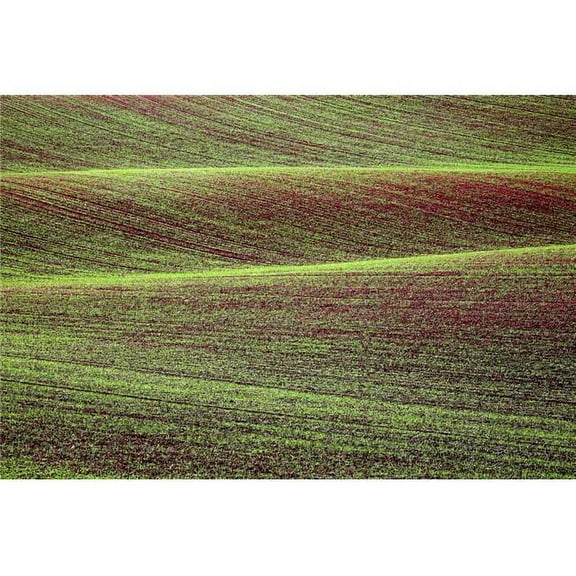 Field Poster Print by Chris Upton - 17 x 11