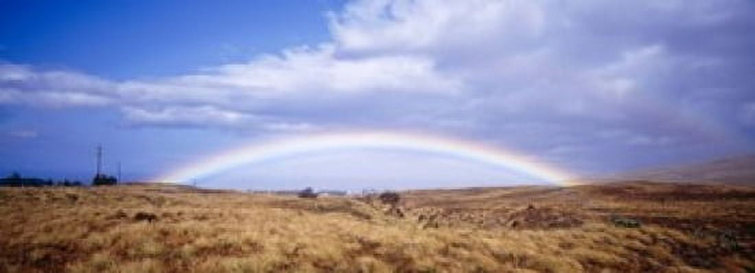 Field Rainbow Hawaii USA Canvas Art - Panoramic Images (18 x 7)