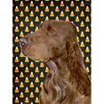 thumbnail image 1 of Field Spaniel Candy Corn Halloween Portrait House Size Canvas Flag - 28 x 40 in., 1 of 1