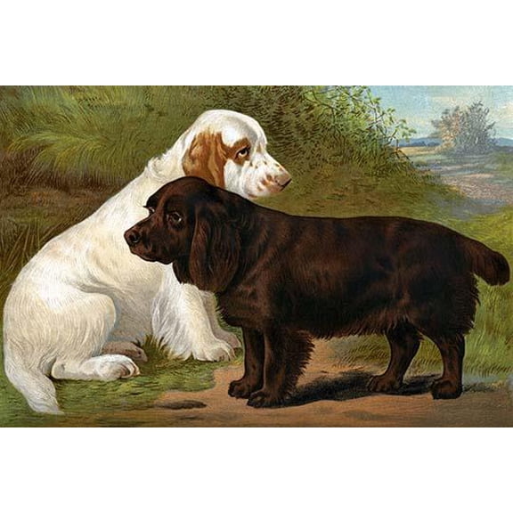 Field Spaniels-Fine Art Canvas Print (20" x 30")