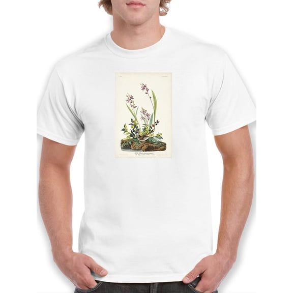 Field Sparrow T-Shirt Men -John James Audubon Designs, Male 4X-Large