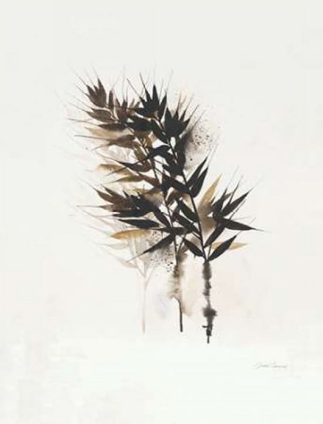 Field Study Grasses Canvas Art - Jurgen Gottschlag (22 x 28)