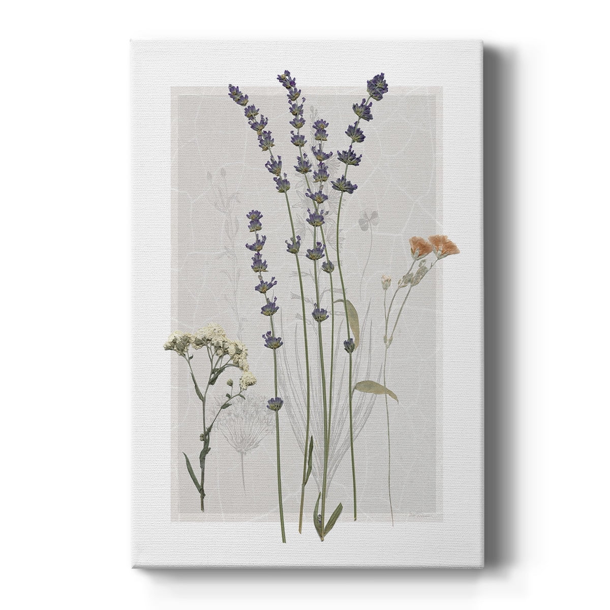 Field Study Page I Premium Gallery Wrapped Canvas - Ready to Hang