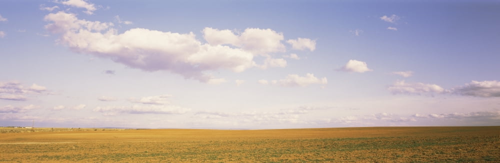 Field Utah USA Canvas Art - Panoramic Images (12 x 36)