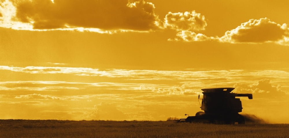 Field With Combine At Sunset Canvas Art - Darren Greenwood Design Pics (20 x 9)