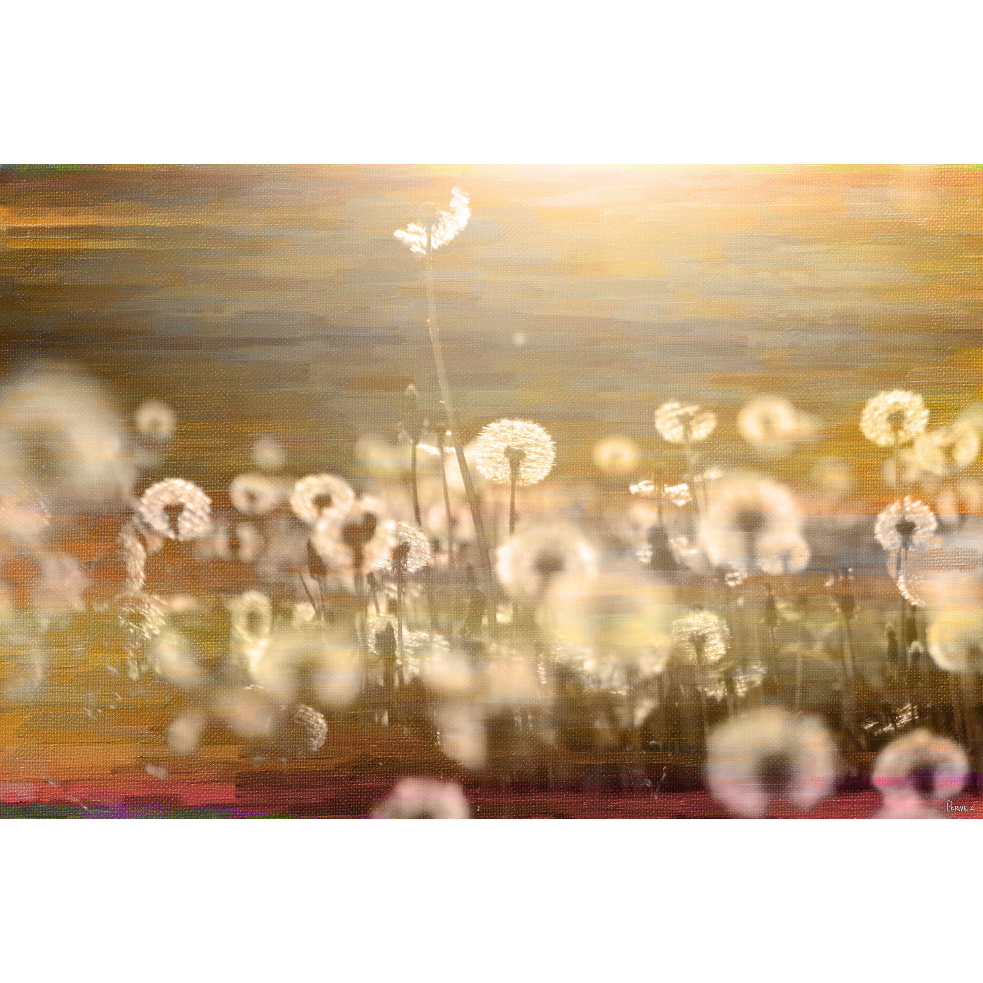 Field Abstract Landscape Canvas Print in Warm Tones, 18" x 12"