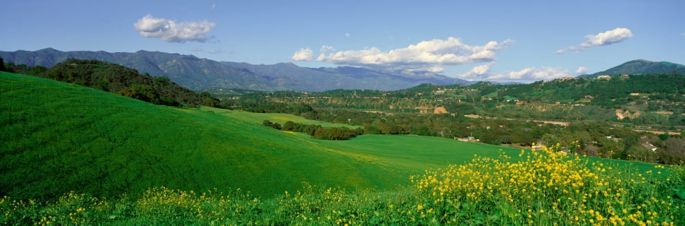 Field in Springtime Ojai California Canvas Art - Panoramic Images (27 x 9)