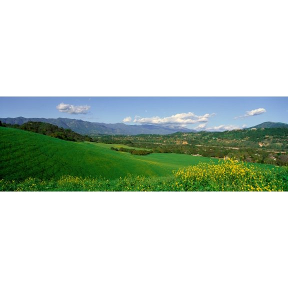 Field in Springtime Ojai California Canvas Art - Panoramic Images (36 x 12)