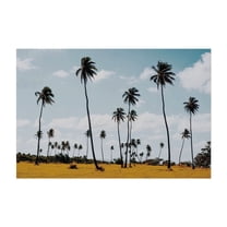 Field of Dreams - Aguadilla Puerto Rico Photography Palm Tree Tropical Minimalist Nature Landscape Summer Scenic Unframed Wall Art Print 4 x 6 inches