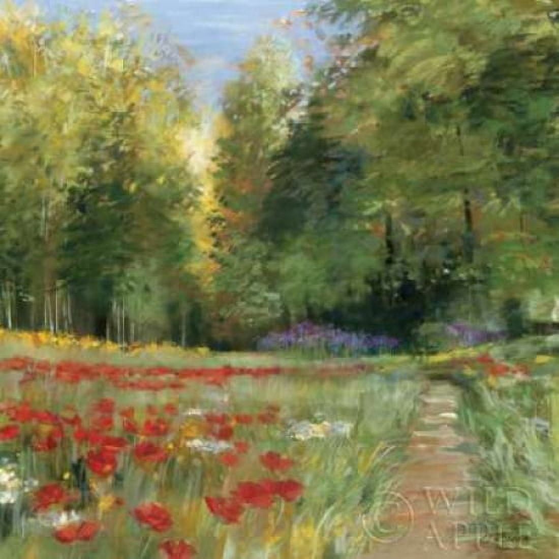 Field of Flowers Canvas Art - Carol Rowan (24 x 24)