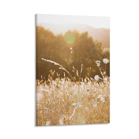 Field of Flowers at Sunset, Soft Light Art, Framed Canvas Print, 12x8 in