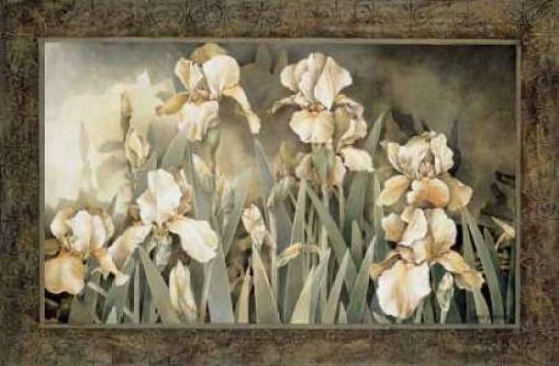 Field of Irises Canvas Art - Linda Thompson (12 x 18)