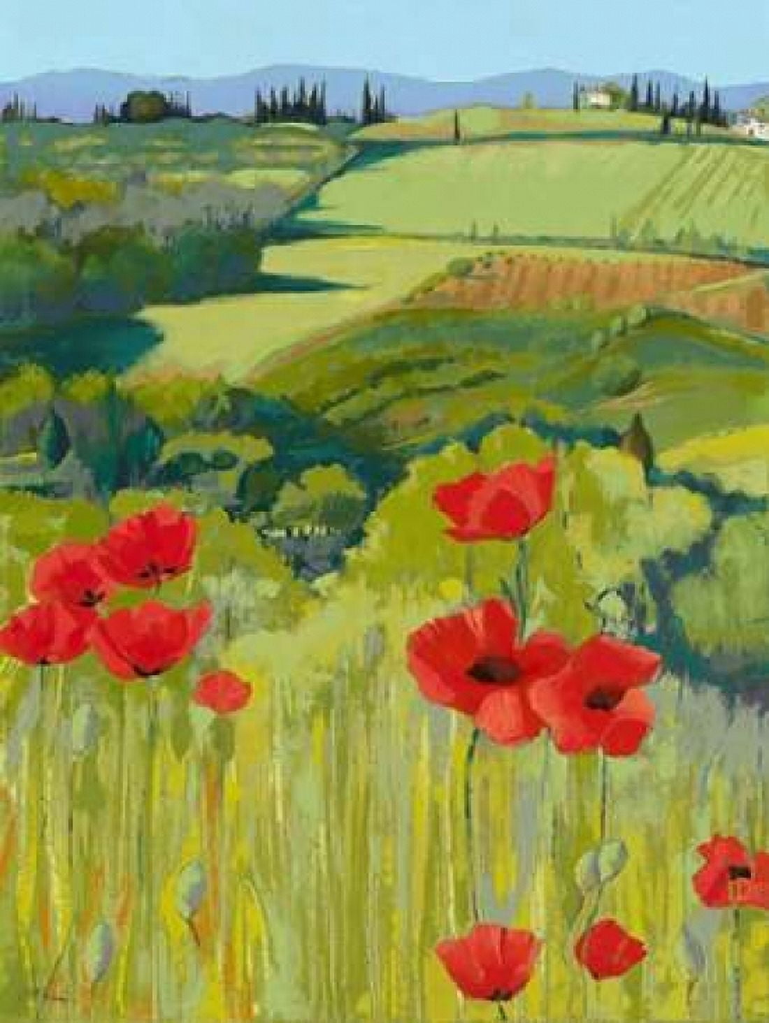 Field of Poppies Canvas Art - Jane Henry Parsons (18 x 24)