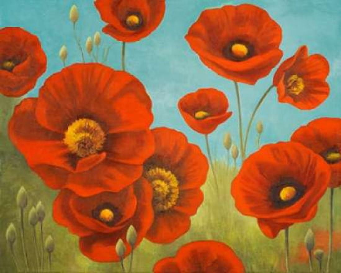 Field of Poppies I Canvas Art - Vivien Rhyan (20 x 24)
