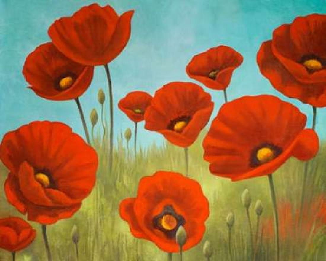 Field of Poppies II Canvas Art - Vivien Rhyan (24 x 30)