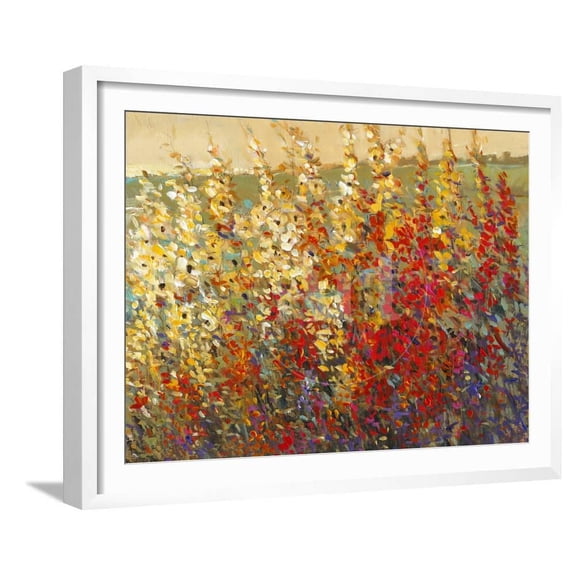 Field of Spring Flowers I, Botanical Framed Art Print Wall Art by Tim Otoole Sold by Art.Com
