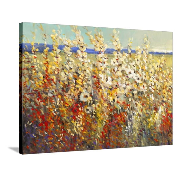 Field of Spring Flowers II, Botanical Stretched Canvas Wall Art by Tim Otoole Sold by ArtCom