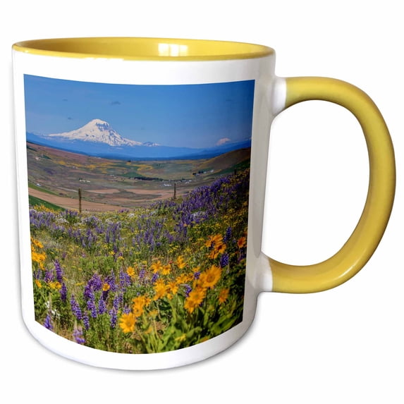 Field of Wildflowers with Mount Adams, Columbia Hills SP, Washington 11oz Two-Tone Yellow Mug mug-260483-8