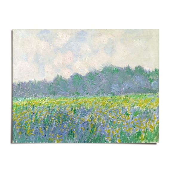 Field of Yellow Irises at Giverny - Claude Monet - 8x10 - Wall Art Print - UNFRAMED