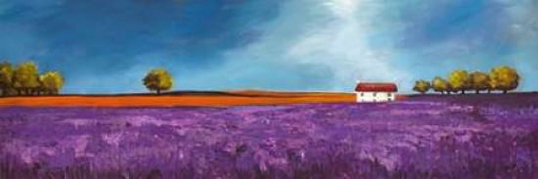 Field of lavender Canvas Art - Philip Bloom (12 x 36)