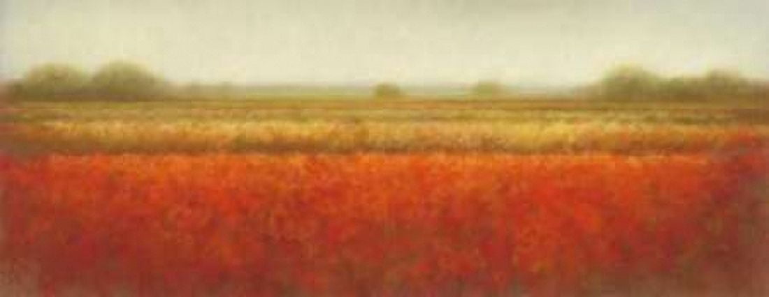 Field of poppies Canvas Art - Hans Dolieslager (24 x 48)