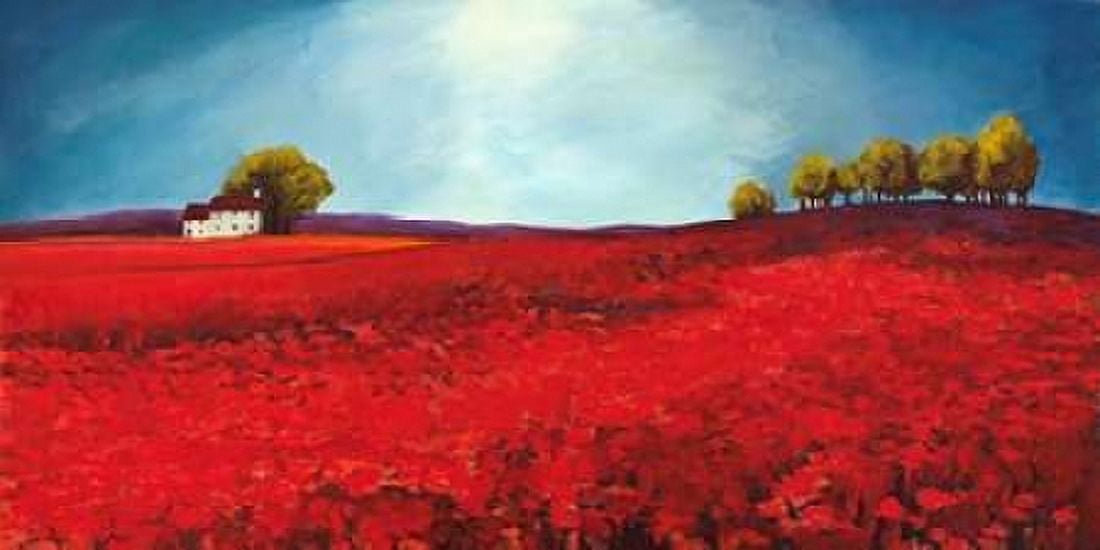 Field of poppies Canvas Art - Philip Bloom (10 x 20)