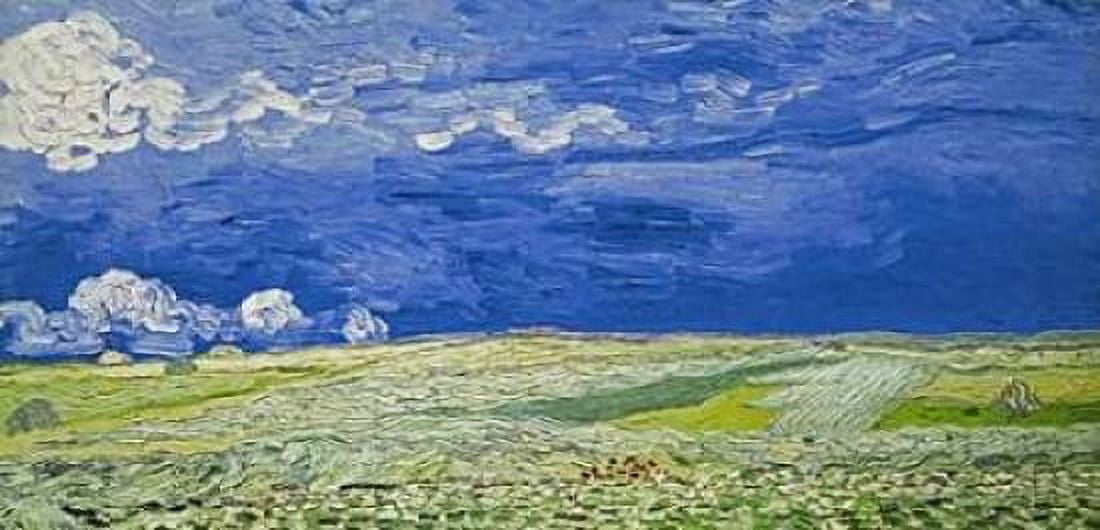 Field under a Stormy Sky Canvas Art - Vincent Van Gogh (10 x 20)