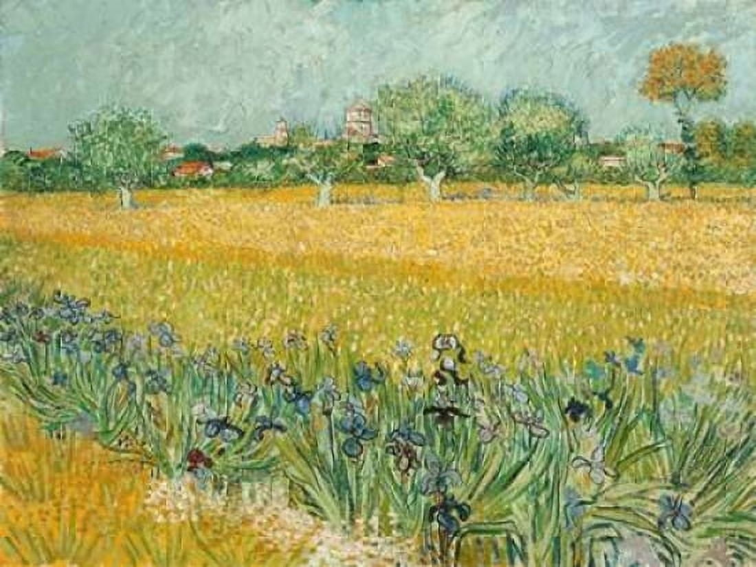 Field with Irises near Arles Canvas Art - Vincent Van Gogh (22 x 28)