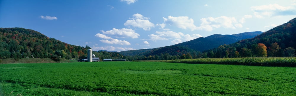 Field with a silo in the background Stockbridge Vermont USA Canvas Art - Panoramic Images (36 x 12)