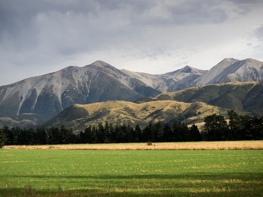 Field with mountain range in the background Canterbury South Island New Zealand Canvas Art - Panoramic Images (24 x 36)