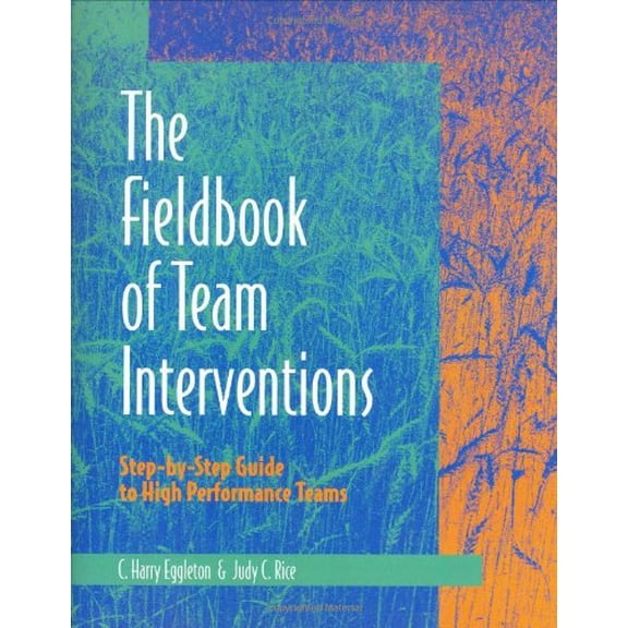 Pre-Owned Fieldbook/Team Interventions (Unknown) 087425325X 9780874253252