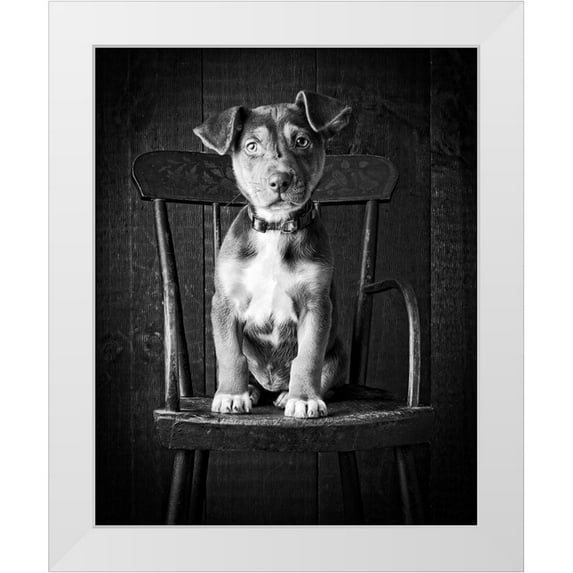 Fielding, Edward M. 15x18 White Modern Wood Framed Museum Art Print Titled - Mutt Black and White