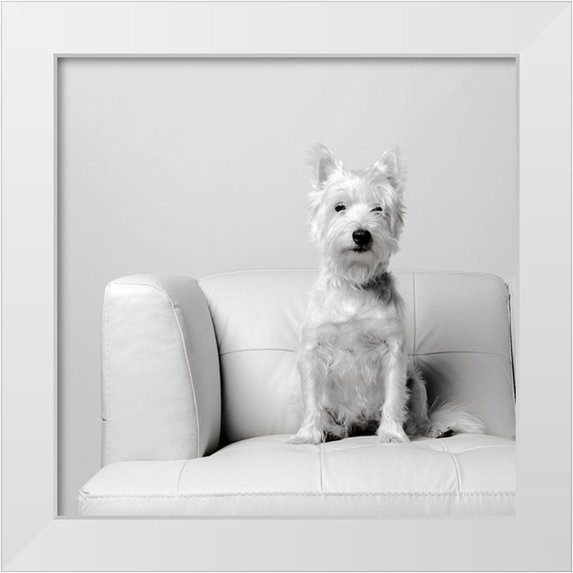 Fielding, Edward M. 20x20 White Modern Wood Framed Museum Art Print Titled - White on White