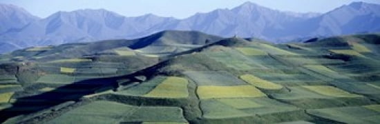 Fields Farm Qinghai Province China Canvas Art - Panoramic Images (36 x 12)