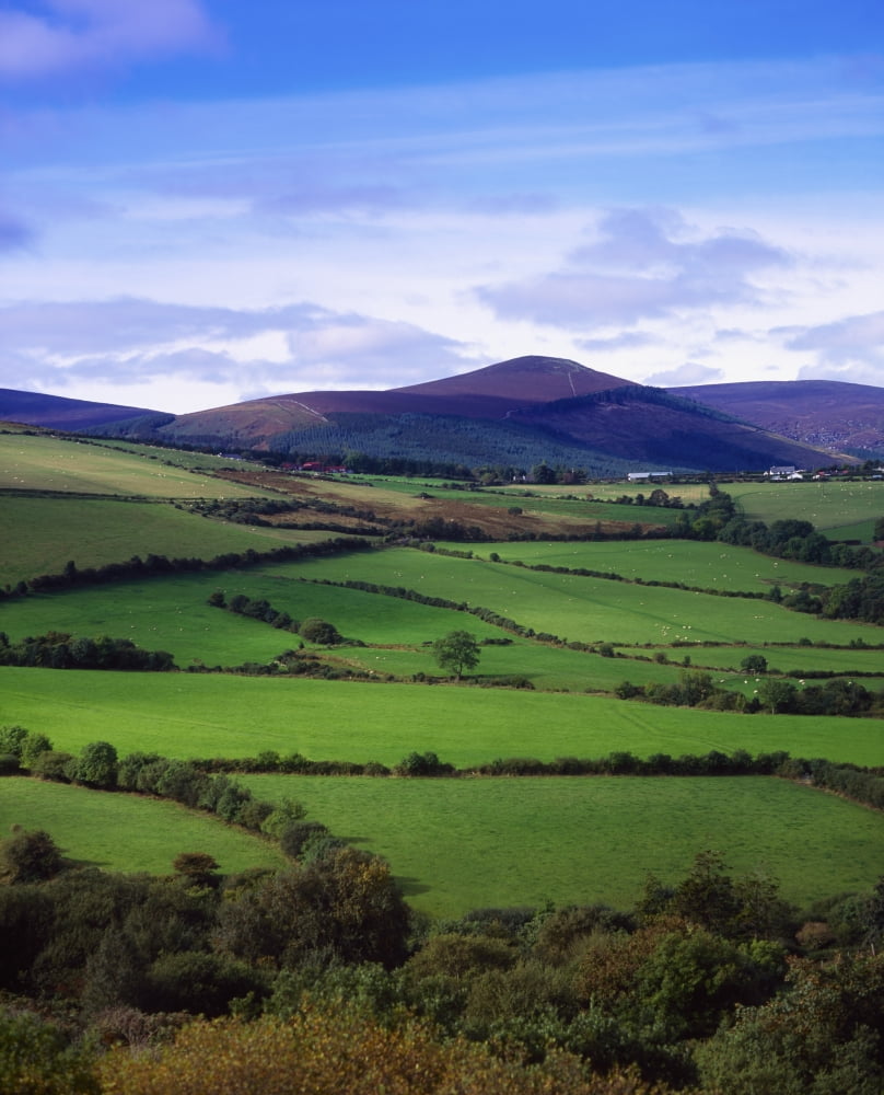 Fields From The Sugar Loaf Mountain Co Wicklow Ireland Canvas Art - The Irish Image Collection Design Pics (26 x 32)