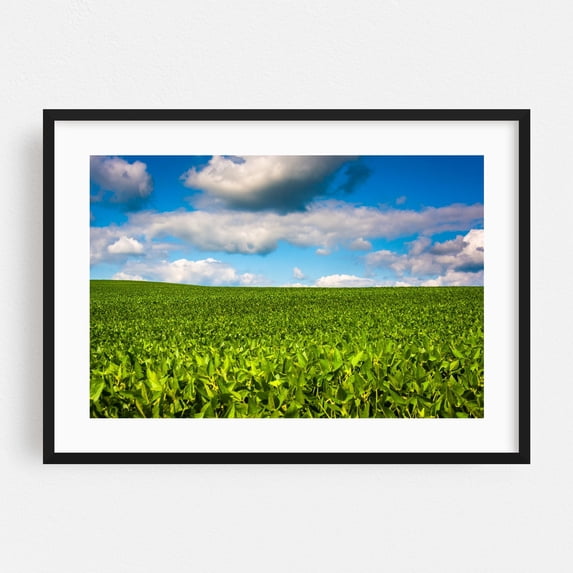 Fields - Maryland Photography Nature Landscape Rural Scenic Summer ...
