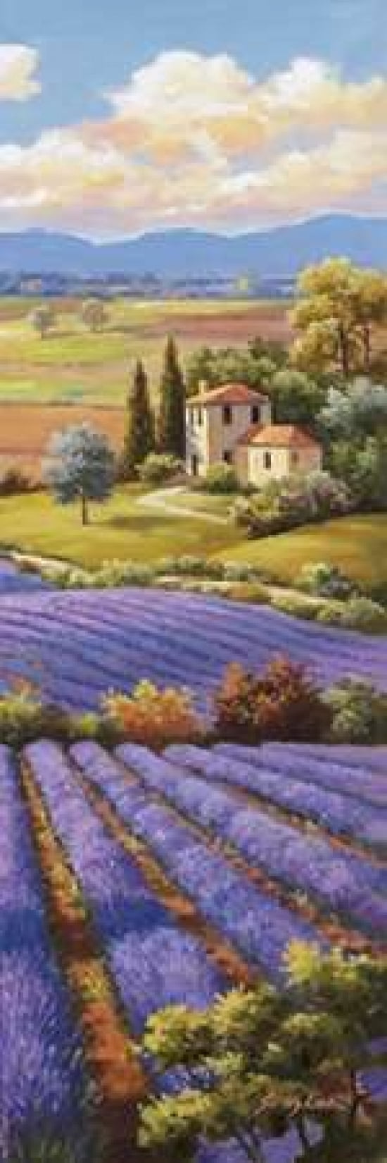 Fields Of Lavender I Canvas Art - Sung Kim (8 x 24)