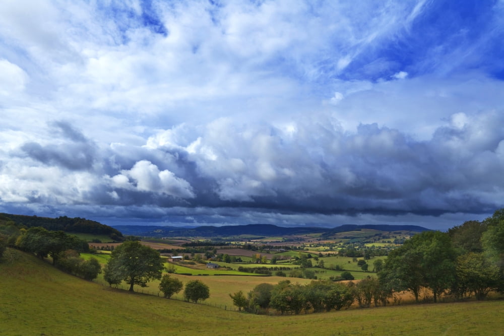 Fields and Rolling Countryside viewed from View Wood Just west of Stokesay Castle Shropshire England UK Canvas Art - George Munday Design Pics (19 x 12)