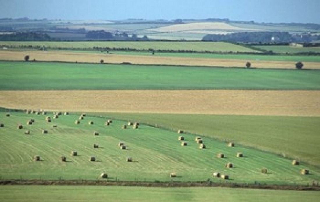 Fields at Harvest Time Dorset England Canvas Art - Nik Wheeler DanitaDelimont (18 x 11)