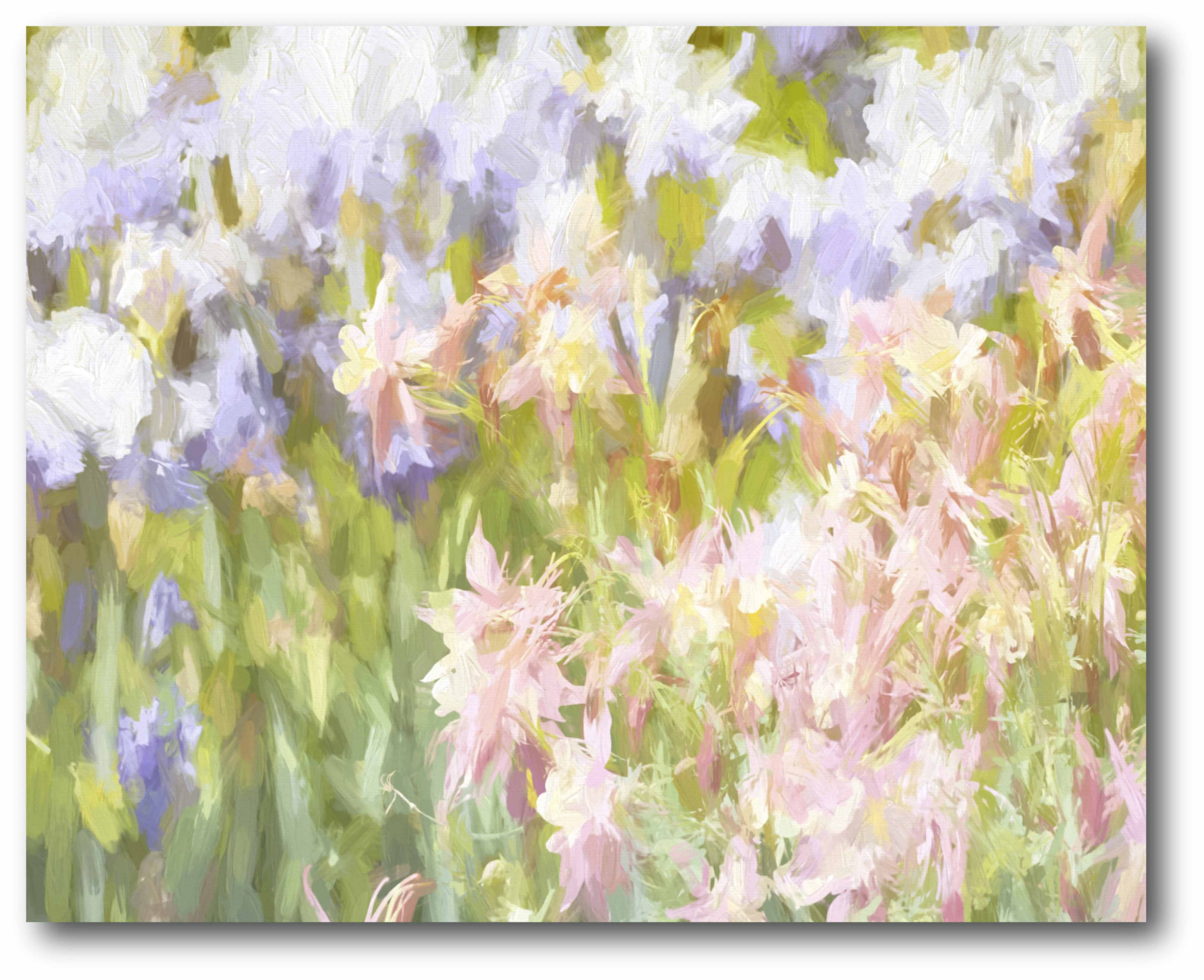 Fields fo Bloom Gallery-Wrapped Canvas Wall Art, 16x20