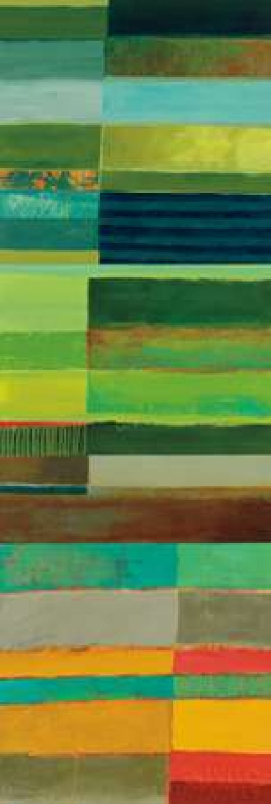 Fields of Color I Canvas Art - Jane Davies (8 x 24)
