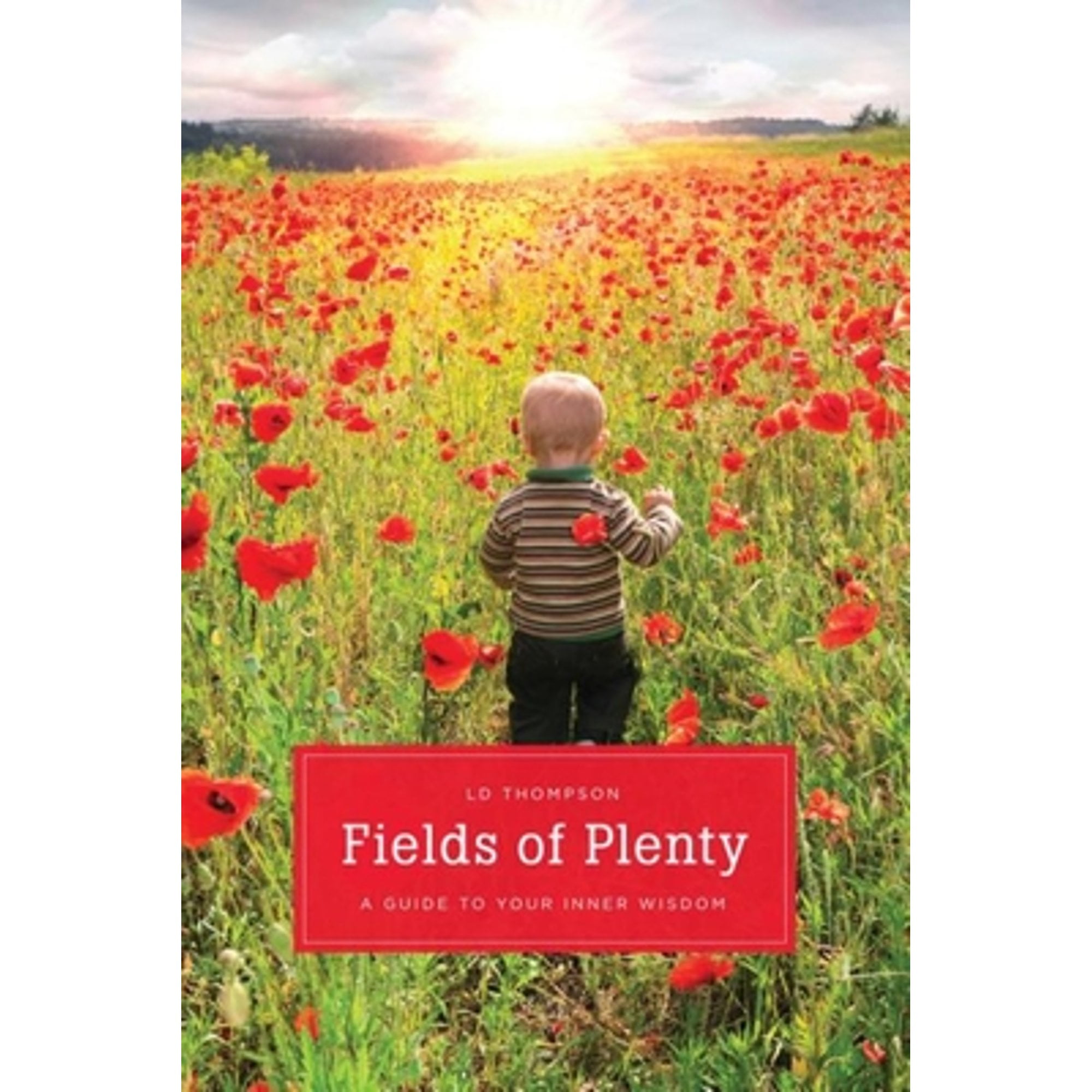 Pre-Owned Fields of Plenty: A Guide to Your Inner Wisdom (Paperback) 1611250218 9781611250213