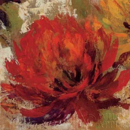 Fiery Dahlias II - Crop Canvas Art - Silvia Vassileva (24 x 24)