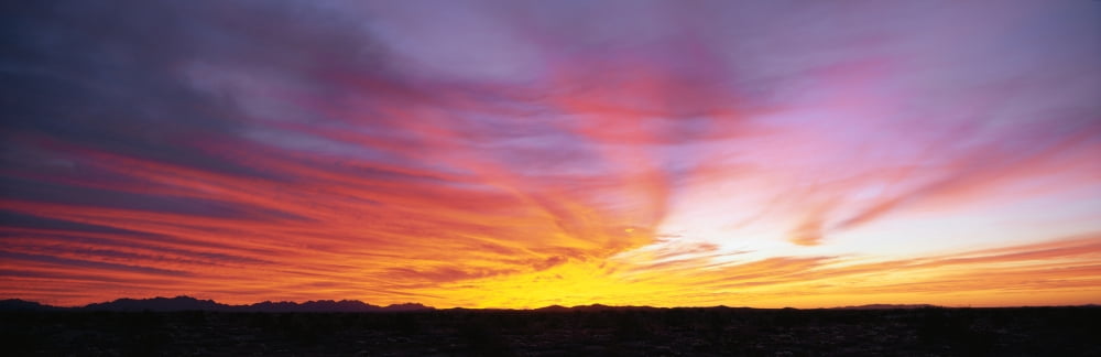 Fiery Sky over Sonoran Desert Canvas Art - Panoramic Images (27 x 9)