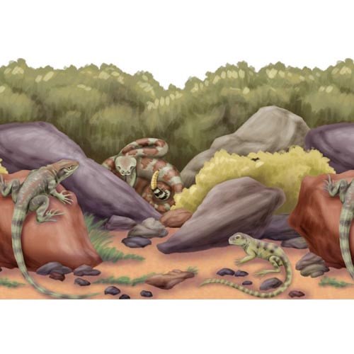 Fiesta Desert Fauna Border Roll / Decoration (50ft)
