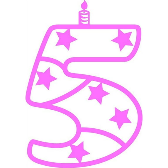 Fifth Birthday Baby Girl Pink 5th Number Fifth Birthday Party Decoration Wall Art Sticker Vinyl Decals House Wall Decor Removable Sticker Kitchen Wall Design Party Peel and Stick Size (30x15 inch)