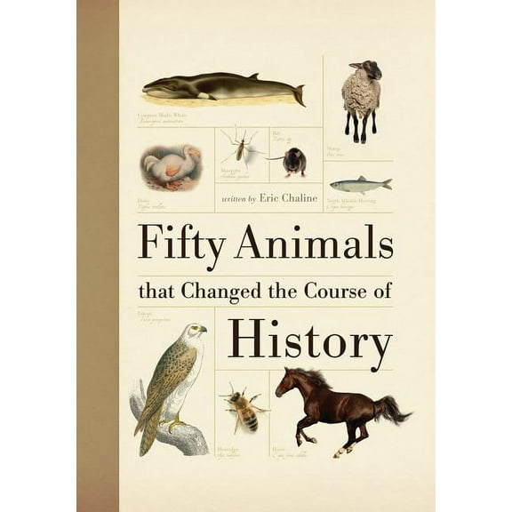 Fifty Things That Changed the Course of History: Fifty Animals That Changed the Course of History (Paperback)